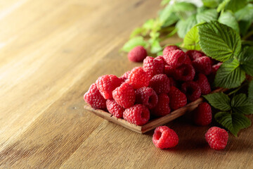 Ripe juicy raspberries with leaves.
