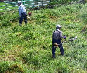 休耕田の雑草の草刈りをする男性たち