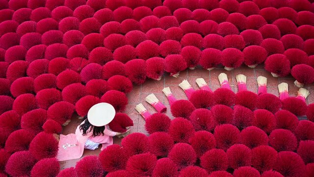Asian women wear traditional white Vietnamese culture and Incense sticks drying outdoor  wearing conical hat 