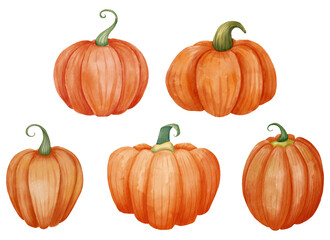Pumpkins set. Watercolor isolated illustration.
