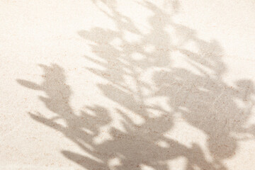 Light stone background with shadows of leafy tree branches. Top view