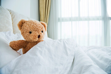 Teddy Bear lying in comfort bed