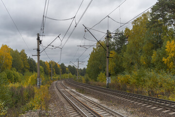 Naklejka na ściany i meble Picturesque section of the railway among yellow birches in autumn.