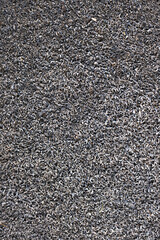 texture background of doormat