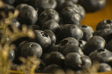 Blueberries that I found in the store and they produce trypophobia when seeing them