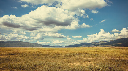 Obraz premium field and sky