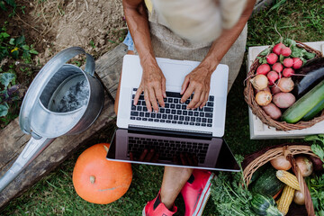 Top view of senior woman using laptop and handling orders of her homegrown organic vegetables in...