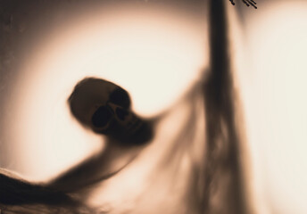 Shadow blur of horror skeleton. Halloween background.