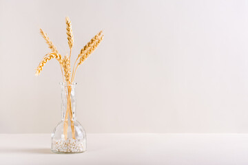 Ears of wheat in a decorative bottle on a light background. Autumn decoration. Copy space