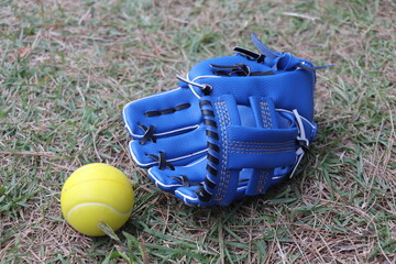 野球 グローブ ボール 遊び　おもちゃ スポーツ 用品