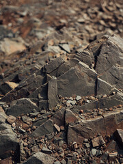 Close-up of gray-brown stone texture on a rock surface in the mountains