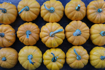 halloween pumpkin background