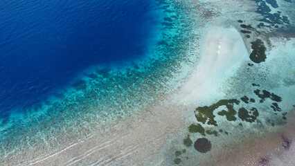 Birds eye view of marine biodiverse Coral Triangle reef ecosystem, aerial drone view, with stunning crystal clear ocean water on the  remote tropical Atauro Island, Timor Leste