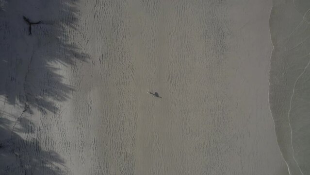 Drone zoom out shot of a surfer walking on the sand at sunrise on Stanta Teresa beach in Costa Rica