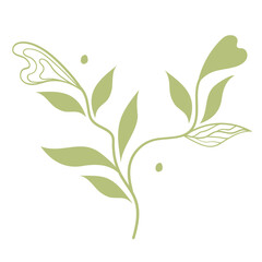 Outline foliage. Transparent PNG.