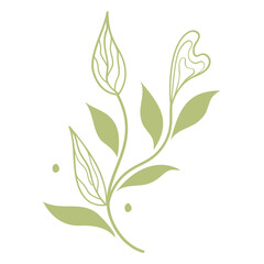 Outline foliage. Transparent PNG.