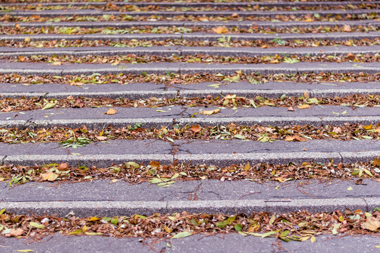 stairs in autumnal time