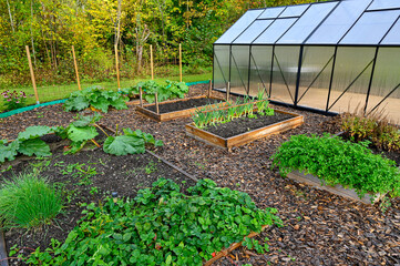 Greenhouse and cultivating boxes in private garden