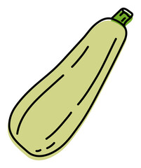 Zucchini. Vegetable sketch. Color simple icon. Hand drawn doodle illustration