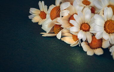 Daisy Flower Bouquet