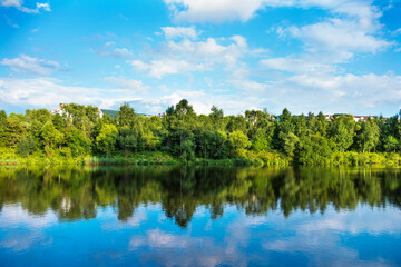 Obraz premium Green forest reflecting in the water