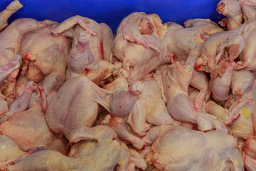 Carcasses of broilers at meat factory.