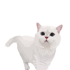 Cat illustration, Custom cat portrait