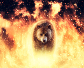 Grizzly bear on fire. Power, strength and energy