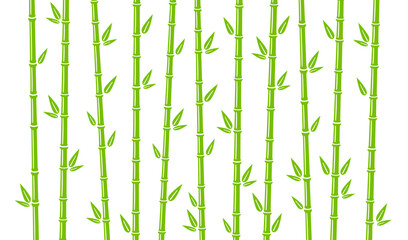 Bamboo background with stalk, branch and leaves. Green bamboo grove backdrop design. Vector illustration isolated in flat style on white background.