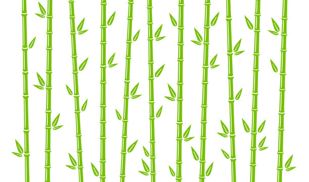 Bamboo background with stalk, branch and leaves. Green bamboo grove backdrop design. Vector illustration isolated in flat style on white background. © Elena Pimukova