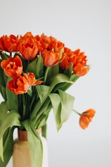 bouquet of tulips