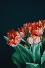 bouquet of tulips