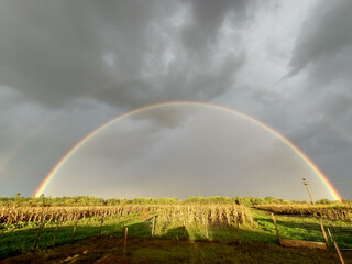 Natural rainbow after the rain in Maramures county, Romania