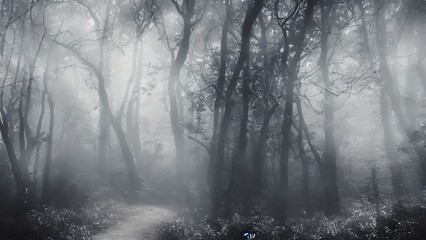 High mystical forest, the road to an unexpected adventure.