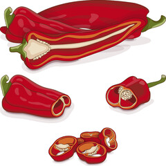Whole, half, quarter, slices, and wedges of Sweet Italian chili peppers. Friggitello. Tuscan peppers. Pepperoncini peppers. Vegetables. Cartoon style. Vector illustration isolated on white background.