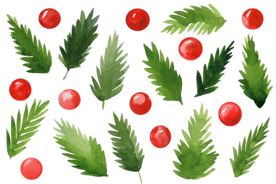Set flora elements Holly leaves, red berries, watercolor illustration