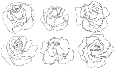 Rose flowers png. Set of hand drawn sketches. Line Ink drawing. 