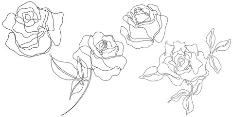 Rose flowers png. Set of hand drawn sketches. Line Ink drawing. 