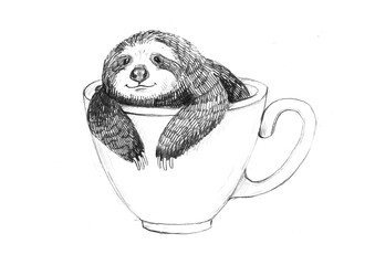 A cute sloth sits in a cup