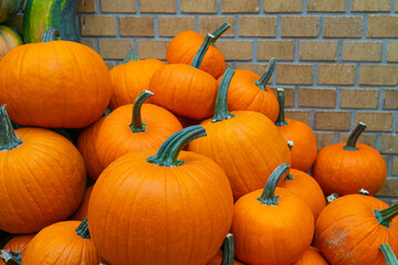Pumpkin Texture Background, Squash Farm, Orange Autumn Pumpkins Harvest