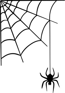Vector illustration of spider web and hanging spider.