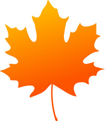 Vector illustration of orange maple leaf silhouette.