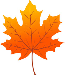 Vector illustration of orange maple leaf icon.