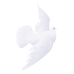 White pigeon vector illustration