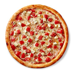 Pizza on thin dough with mozzarella, tomatoes, blue cheese and dried basil on white background