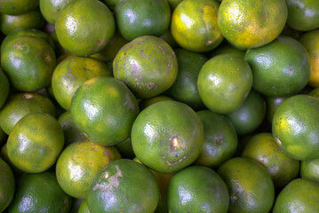 Close up of fresh green orange. Bunch of green lemon at market