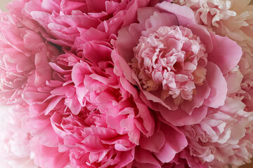 Closeup view of beautiful pink peony bouquet