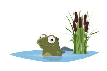 funny cartoon illustration of a frog sitting in a pond