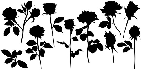 Pmg roses silhouettes. Leaves and flowers design elements on white background.
