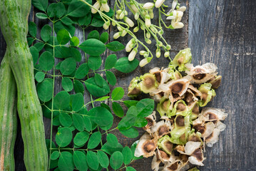 Moringa, Moringa oleifera leaves, Moringa seed,flowers and leaves of Moringa